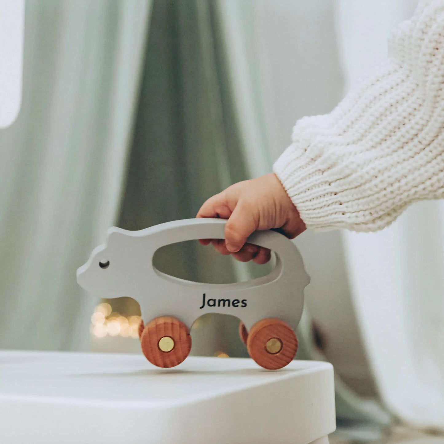 Colored Montessori Toy Animals – Personalized Baby Gift, Sensory Toddler Toys, Custom Baby Shower Present for Niece & Nephew