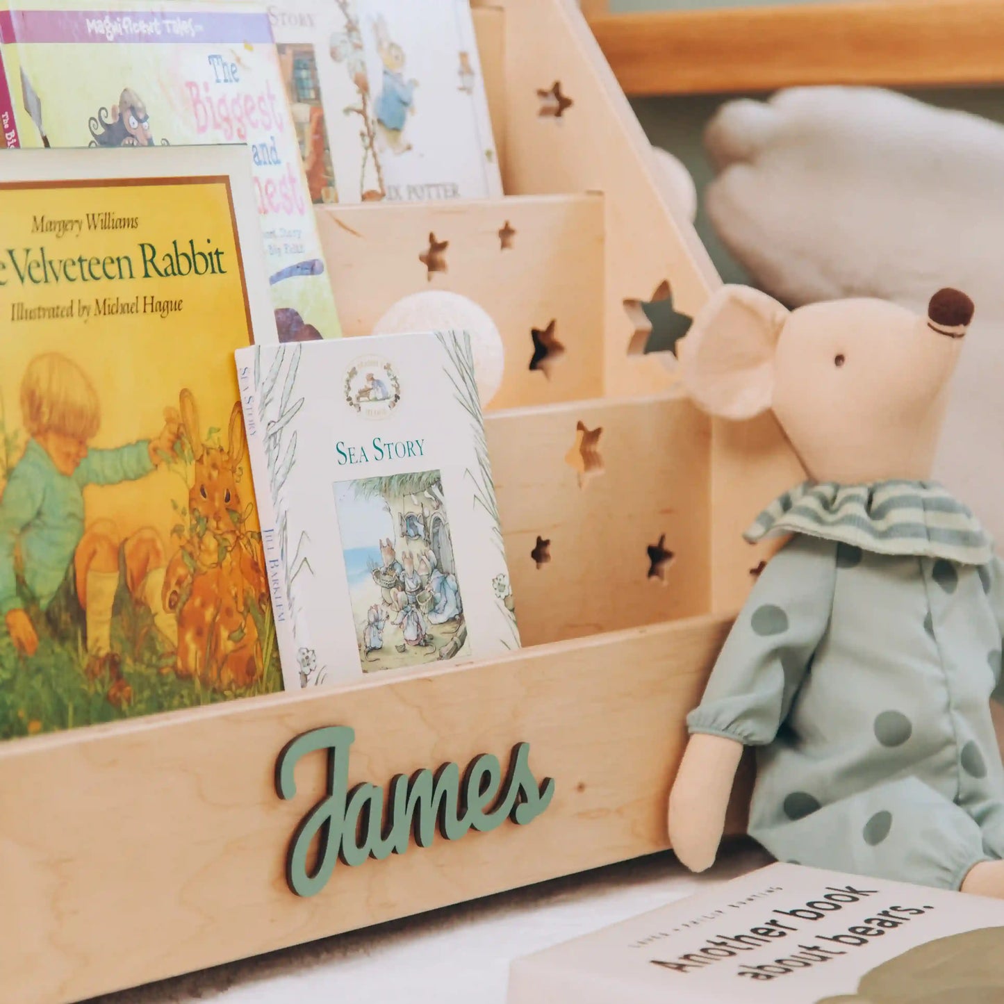 Waldorf Montessori Bookshelf with Name – Kids’ Room Book Organizer