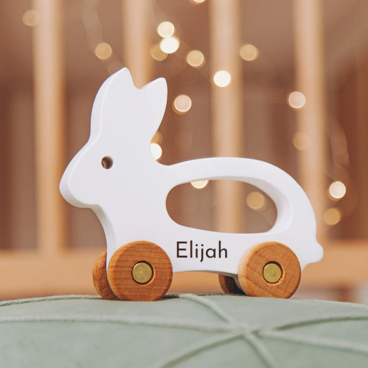 Colored Montessori Toy Animals – Personalized Baby Gift, Sensory Toddler Toys, Custom Baby Shower Present for Niece & Nephew