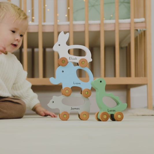 Colored Montessori Toy Animals – Personalized Baby Gift, Sensory Toddler Toys, Custom Baby Shower Present for Niece & Nephew
